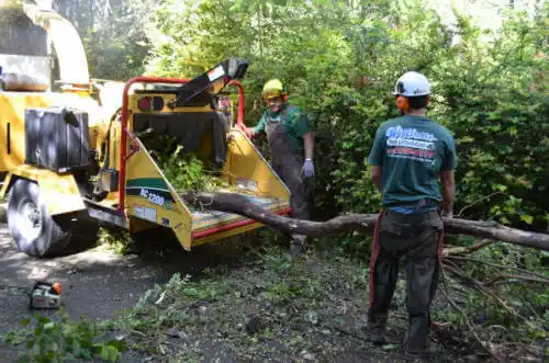 tree services Keosauqua